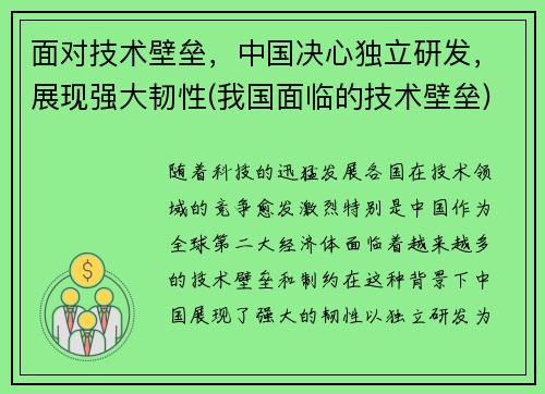 面对技术壁垒，中国决心独立研发，展现强大韧性(我国面临的技术壁垒)