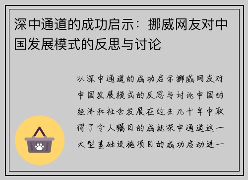 深中通道的成功启示：挪威网友对中国发展模式的反思与讨论