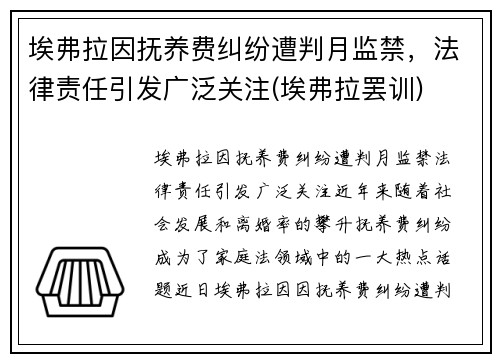 埃弗拉因抚养费纠纷遭判月监禁，法律责任引发广泛关注(埃弗拉罢训)