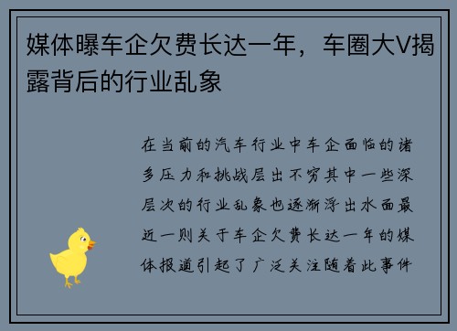 媒体曝车企欠费长达一年，车圈大V揭露背后的行业乱象
