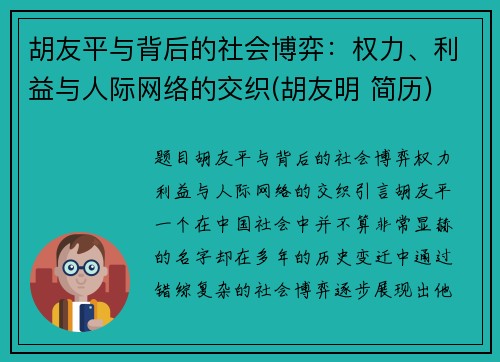 胡友平与背后的社会博弈：权力、利益与人际网络的交织(胡友明 简历)