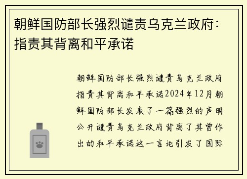 朝鲜国防部长强烈谴责乌克兰政府：指责其背离和平承诺