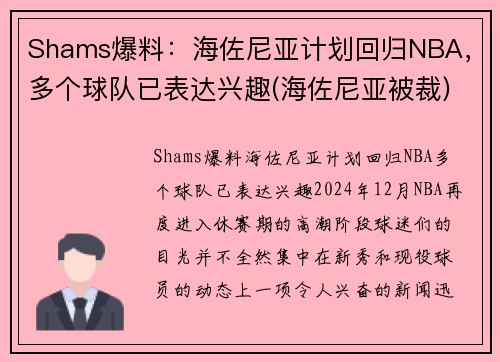 Shams爆料：海佐尼亚计划回归NBA，多个球队已表达兴趣(海佐尼亚被裁)