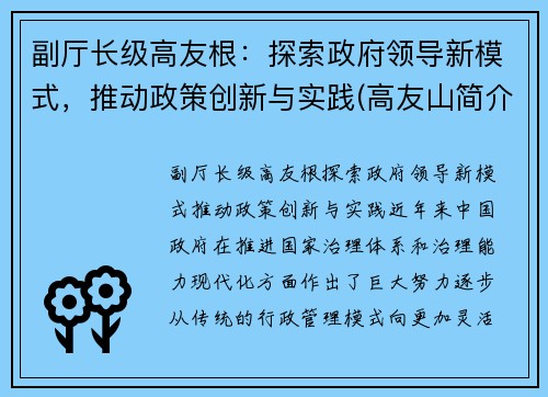 副厅长级高友根：探索政府领导新模式，推动政策创新与实践(高友山简介)