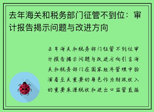 去年海关和税务部门征管不到位：审计报告揭示问题与改进方向