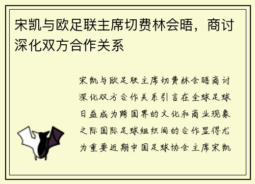 宋凯与欧足联主席切费林会晤，商讨深化双方合作关系